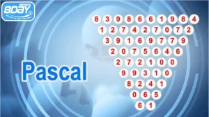 Cầu pascal là phương pháp soi cầu hiệu quả từ cao thủ