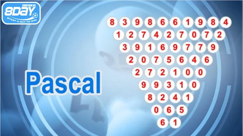 Cầu pascal là phương pháp soi cầu hiệu quả từ cao thủ