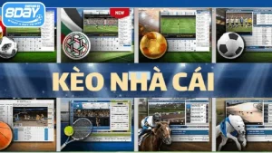 Kèo nhà cái tại 8Day cung cấp nhiều thông tin hữu ích